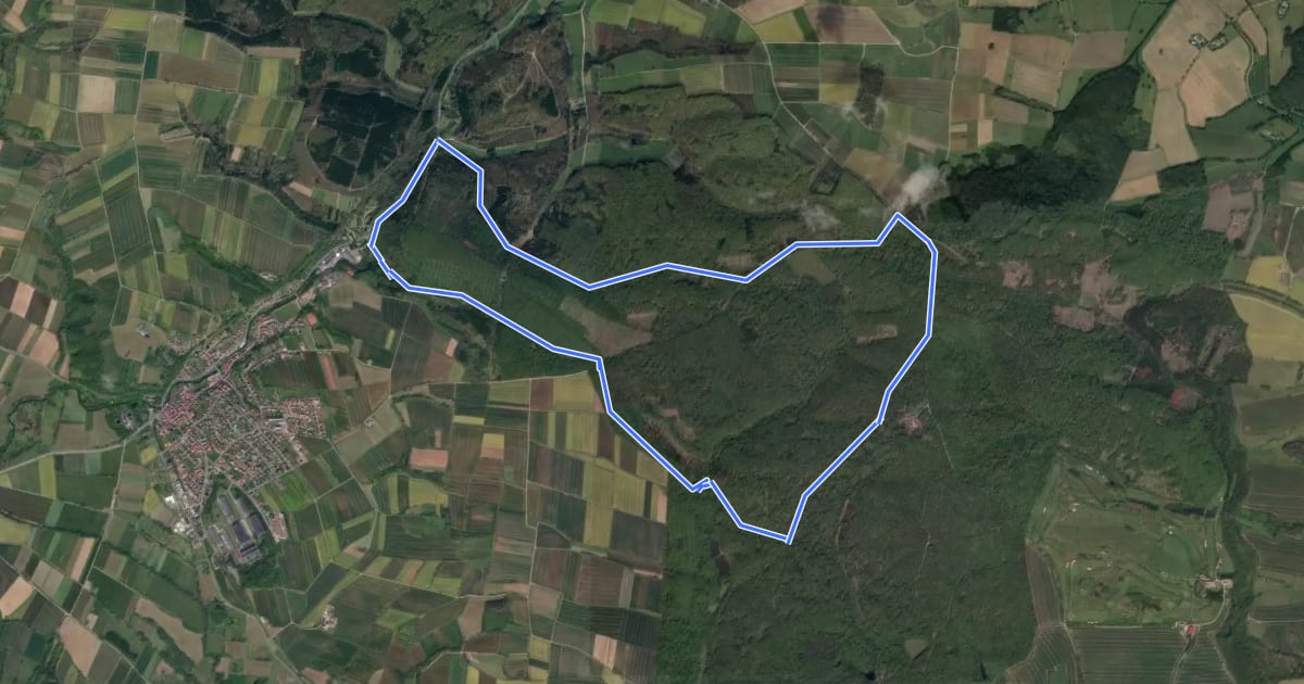 Маршрут Rhumequelle Rundwanderweg 1 на спутниковом снимке