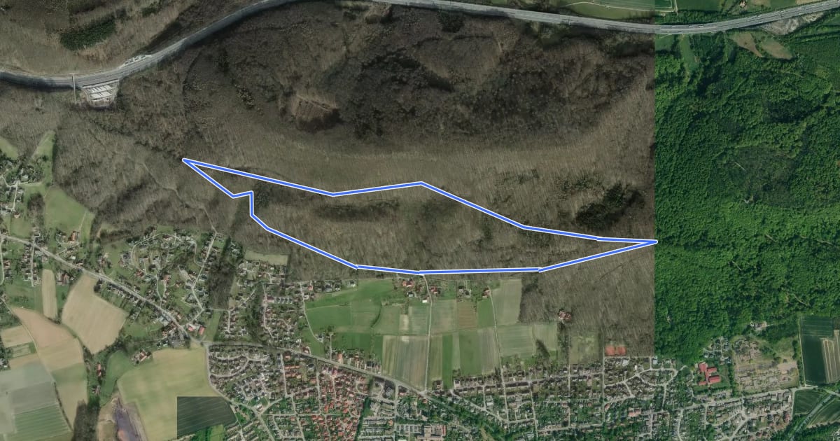 Маршрут RI1 Frankenburg-Route на спутниковом снимке