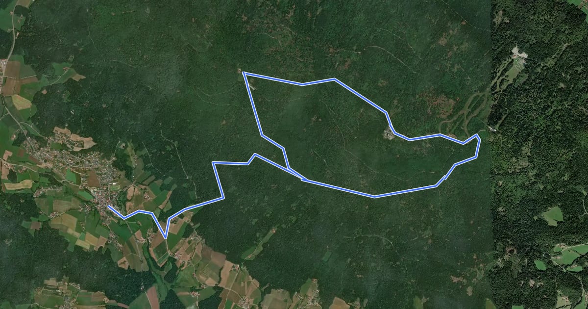 Маршрут Ri11 Höhenwanderweg на спутниковом снимке