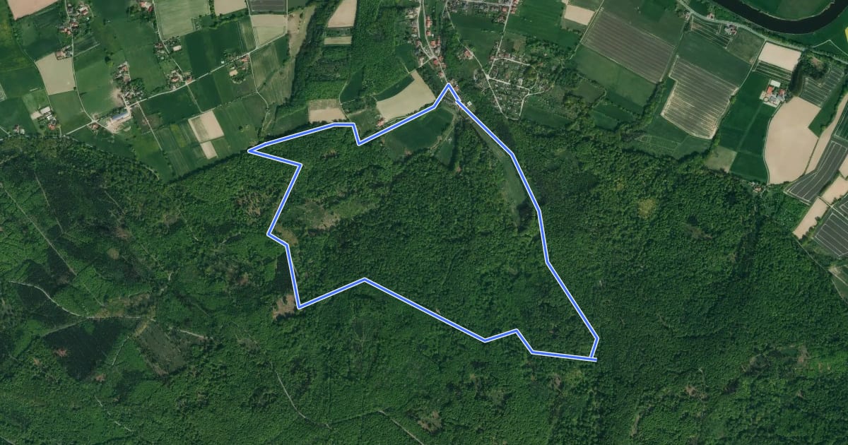 Маршрут RI12 Schlingborn-Route на спутниковом снимке