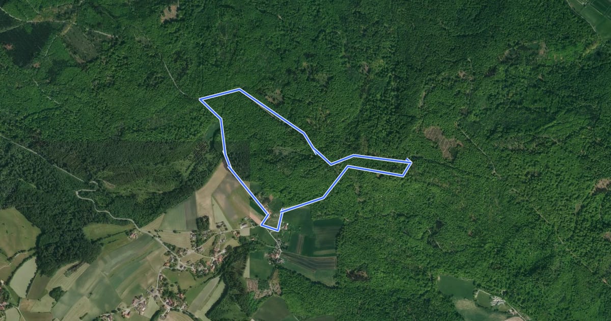 Маршрут RI14 Rumbecker Berg Route на спутниковом снимке