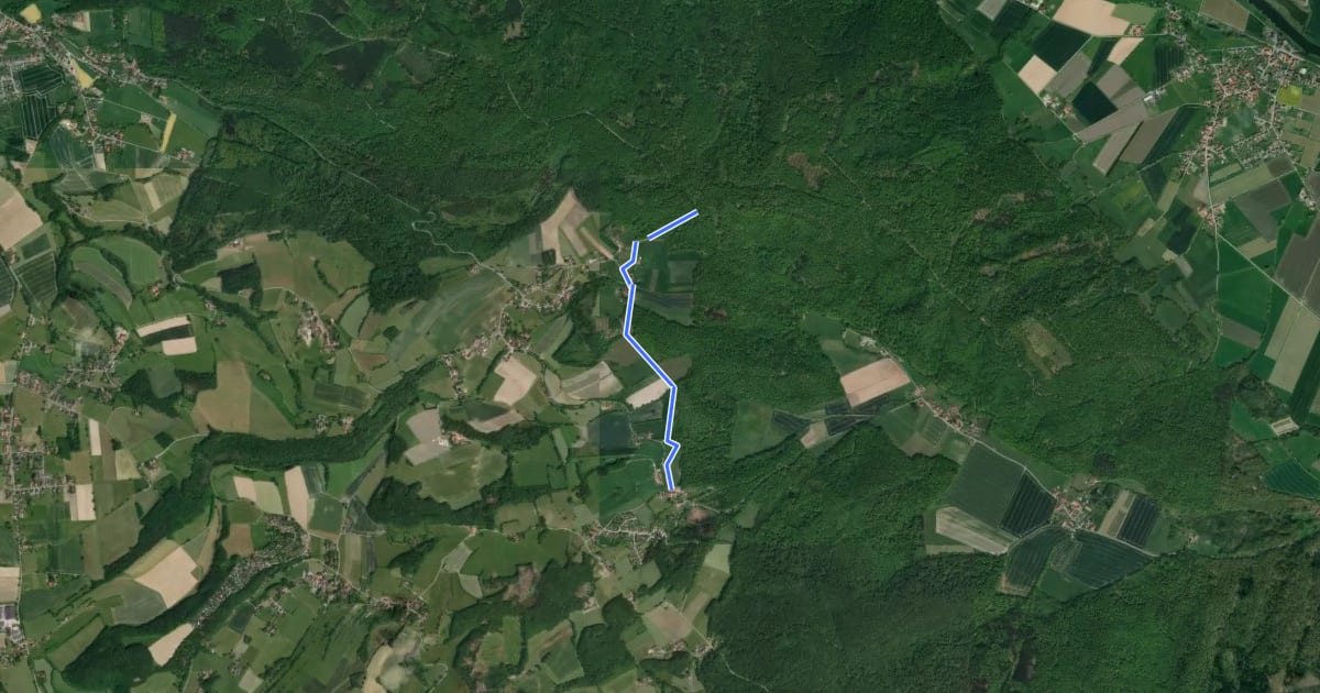 Маршрут RI16 Ludwigsturm-Route на спутниковом снимке
