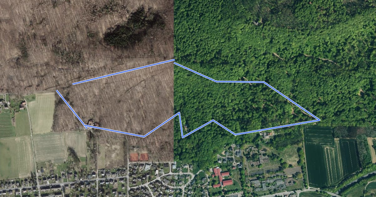 Маршрут RI2 Waldkater-Route на спутниковом снимке