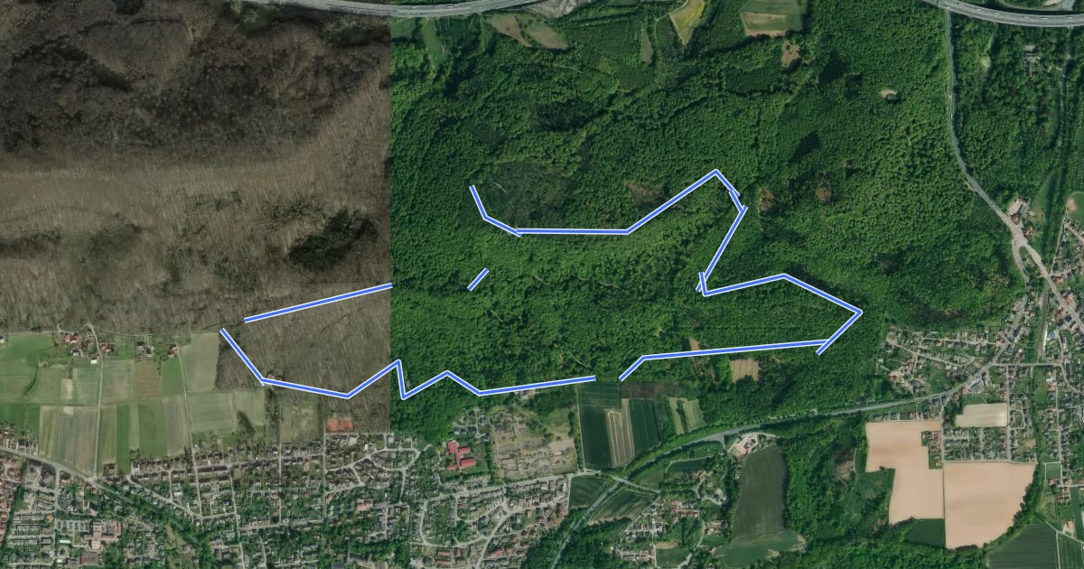 Маршрут RI3 Luhdener Klippenturm-Route на спутниковом снимке