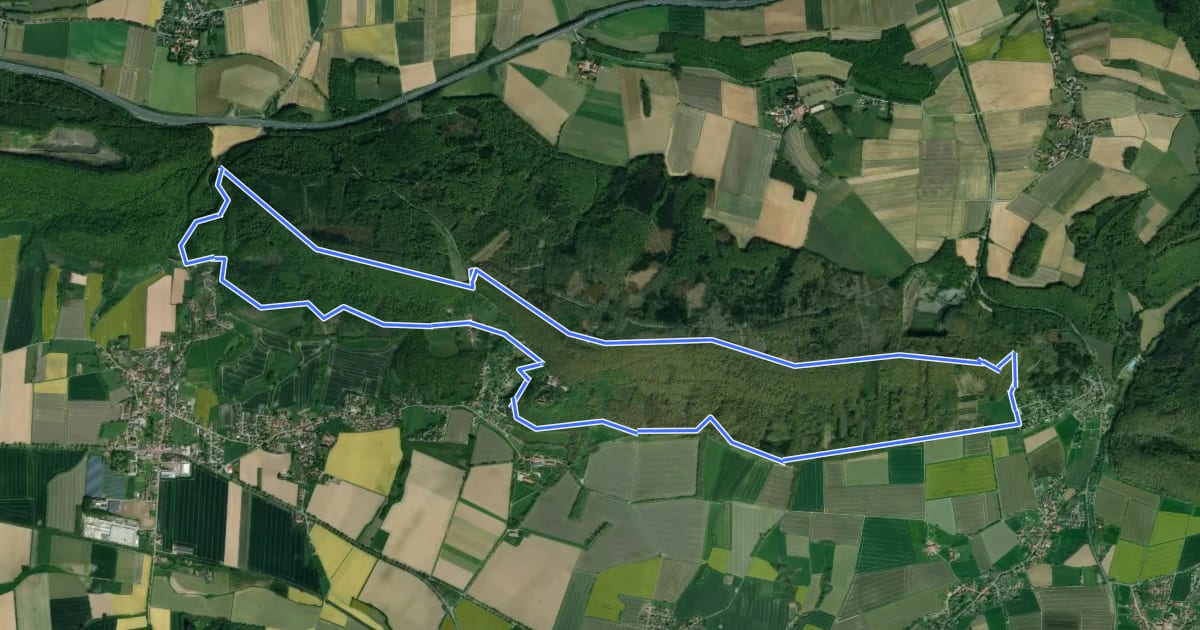 Маршрут RI5 Drei-Burgen-Route на спутниковом снимке