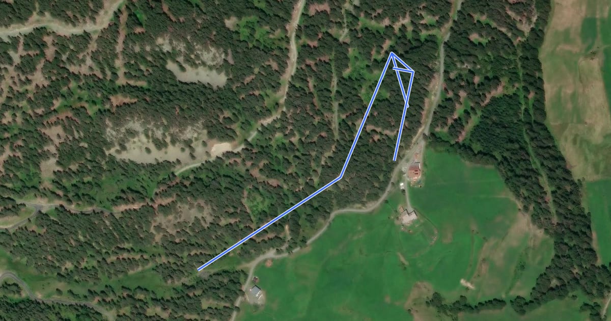 Маршрут Riatschwegele Trail1 на спутниковом снимке
