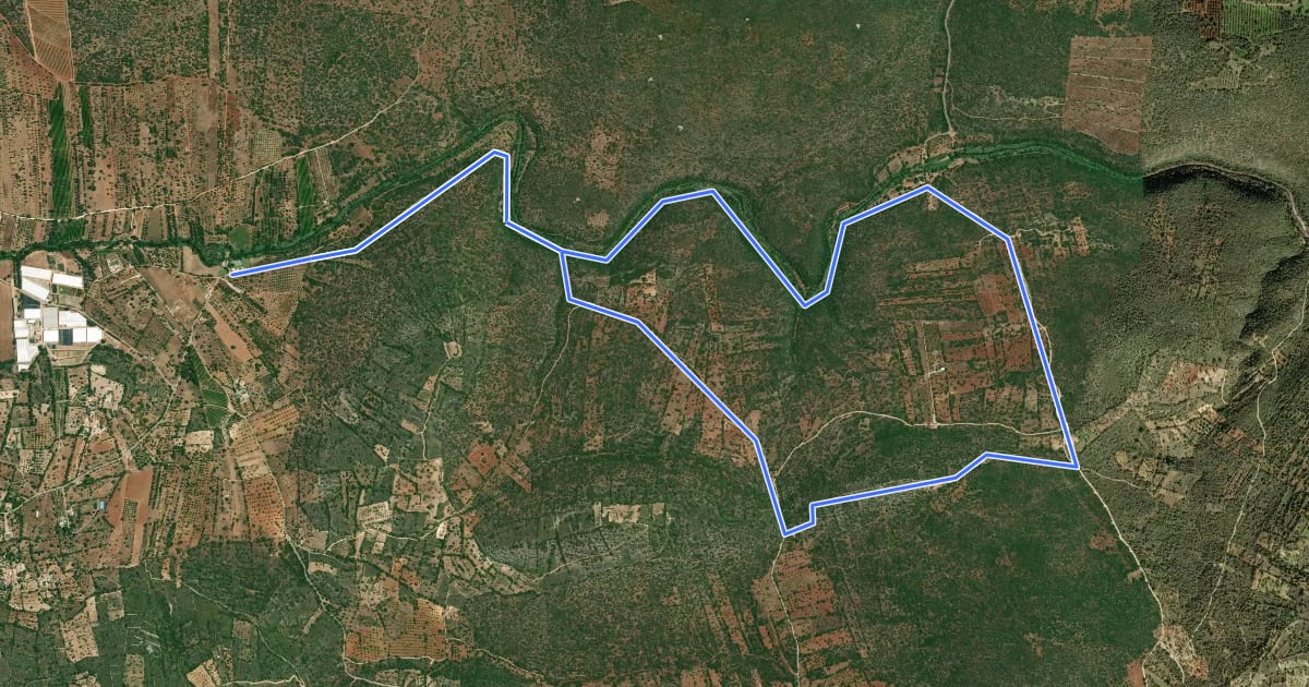 Маршрут Ribeira de Algibre на спутниковом снимке