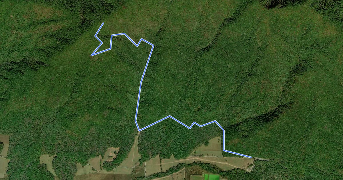 Маршрут Rich Mountain Loop Trail на спутниковом снимке