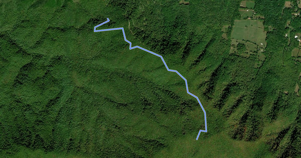 Маршрут Rich Mountain Trail на спутниковом снимке