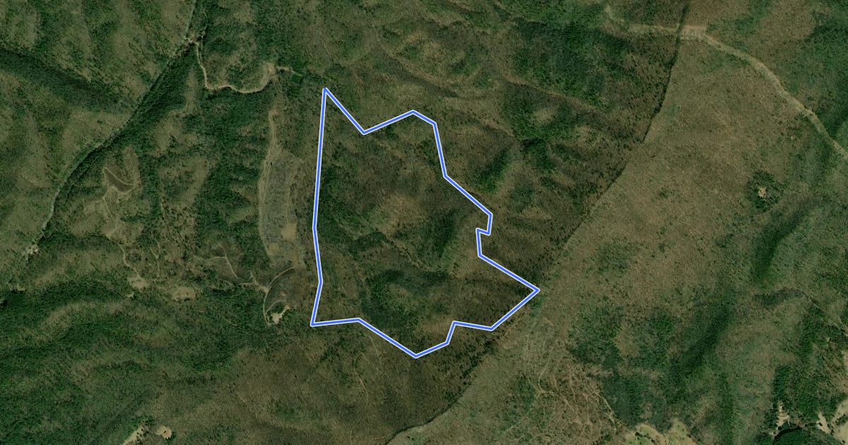 Маршрут Rich Patch Loop Trail на спутниковом снимке