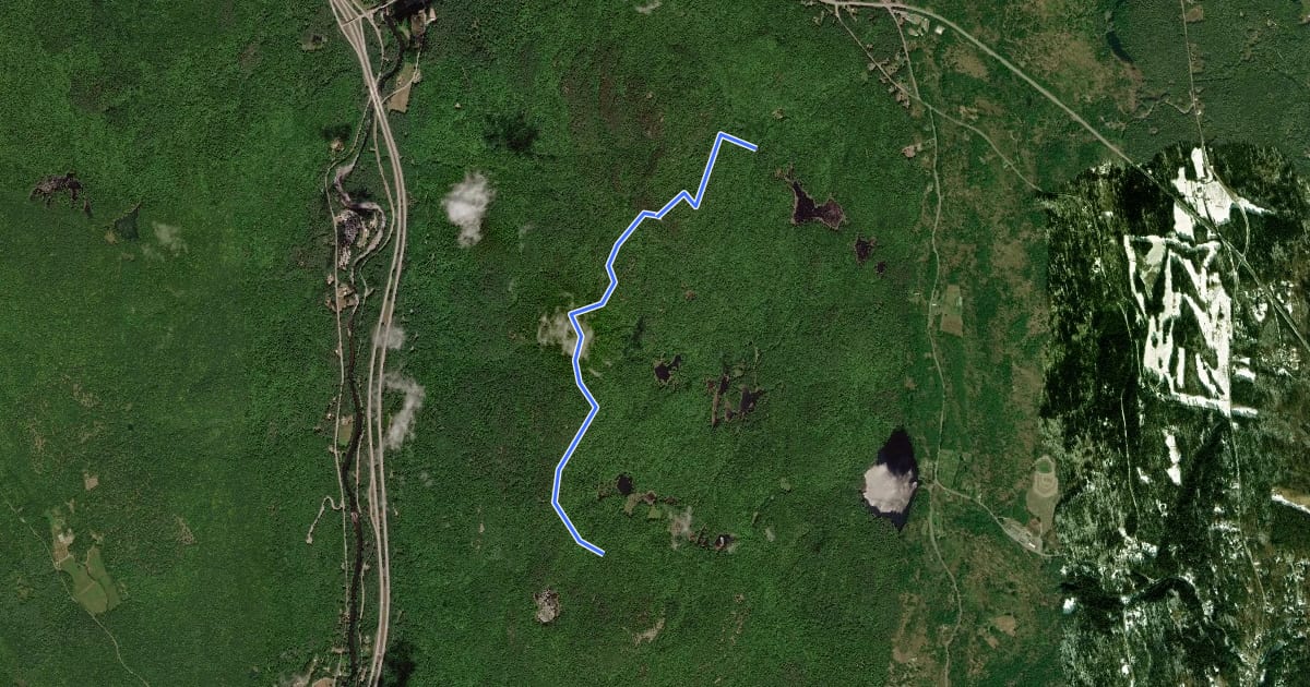 Маршрут Richard Hayes Phillips Trail на спутниковом снимке