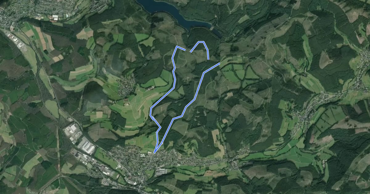 Маршрут Richard-Müller-Weg на спутниковом снимке