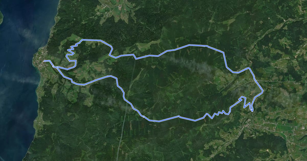 Маршрут Richtberg - Mountainbikestrecke на спутниковом снимке