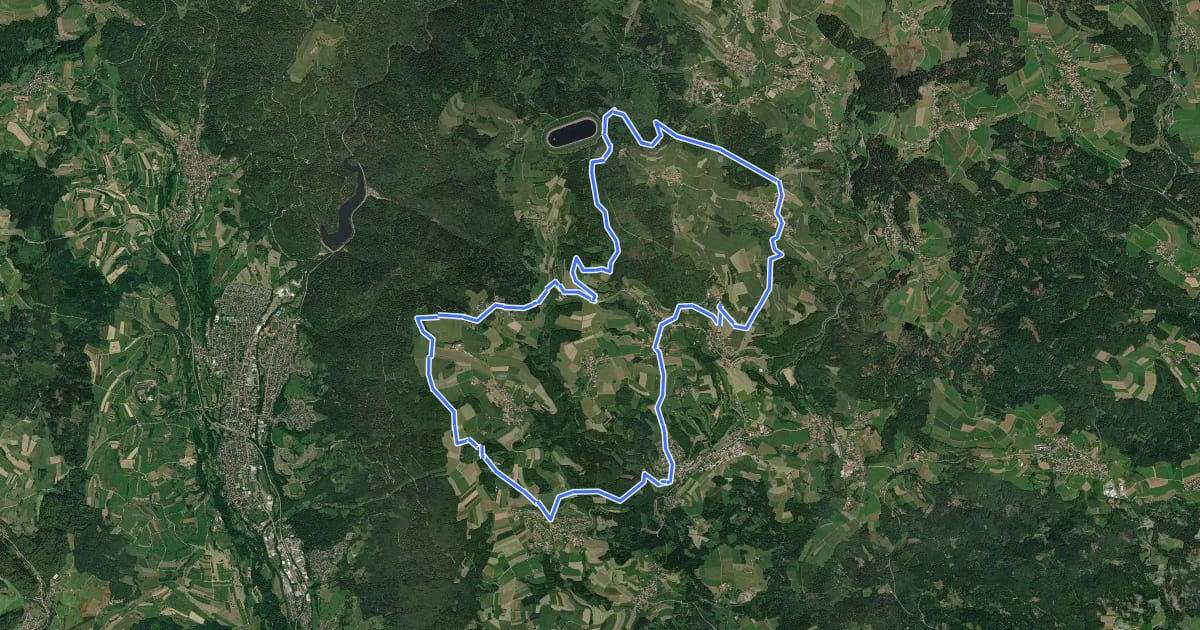Маршрут Rickenbach_ Zwischen Wuhren und Hornbergbecken на спутниковом снимке