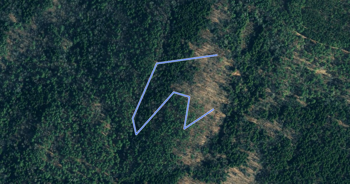 Маршрут Ridge Loop Trail на спутниковом снимке