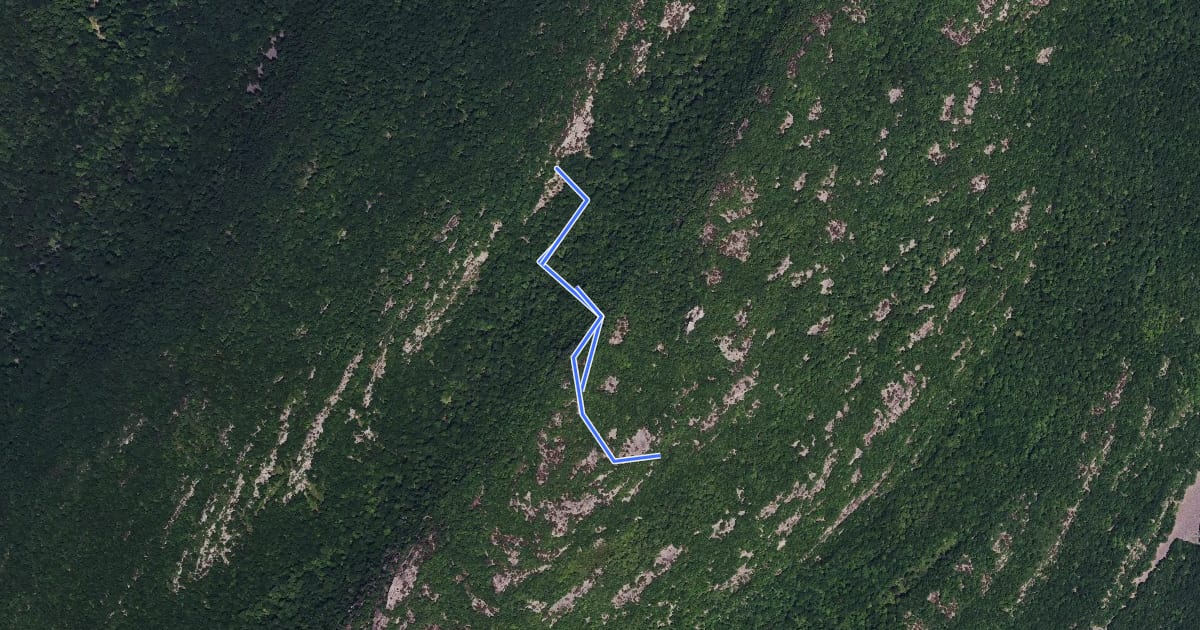 Маршрут Ridge to Ridge Trail на спутниковом снимке