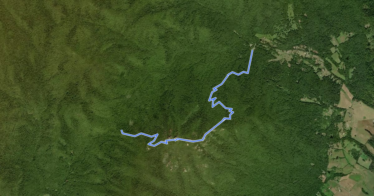 Маршрут Ridge Trail на спутниковом снимке