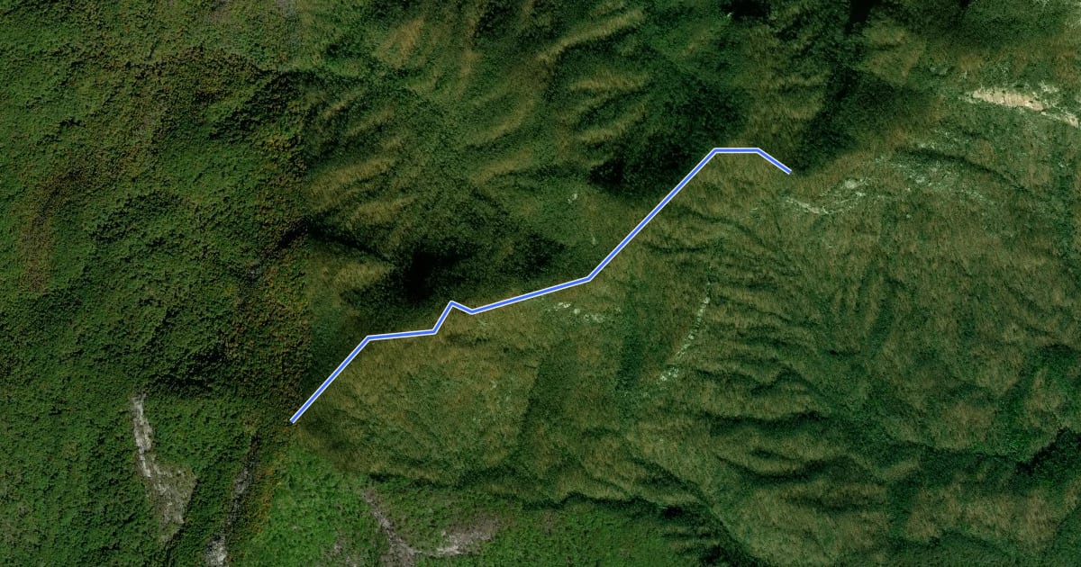 Маршрут Ridge Trail на спутниковом снимке