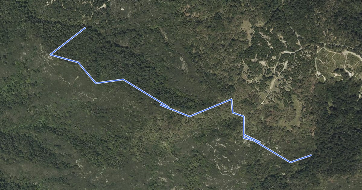 Маршрут Ridge Trail на спутниковом снимке