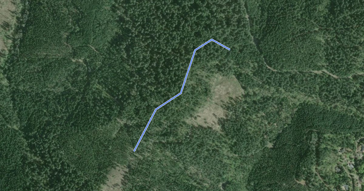 Маршрут Ridge Trail на спутниковом снимке