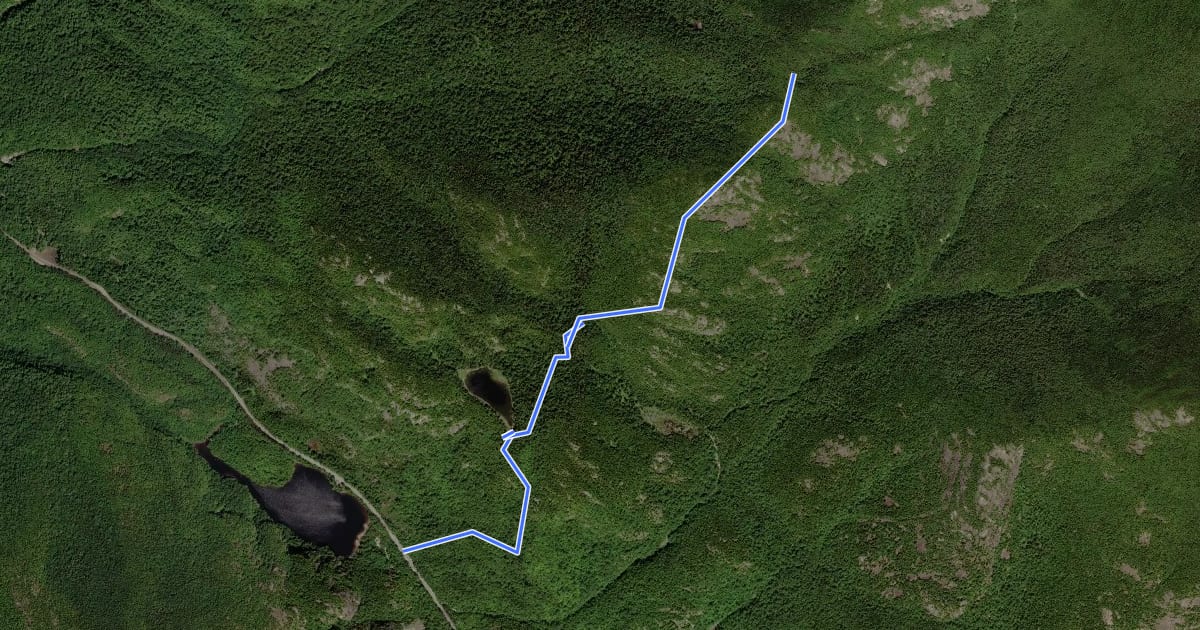 Маршрут Ridge Trail на спутниковом снимке