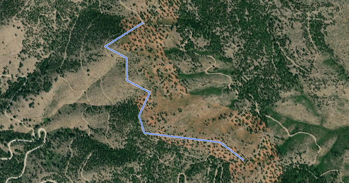 Маршрут Ridge View на спутниковом снимке