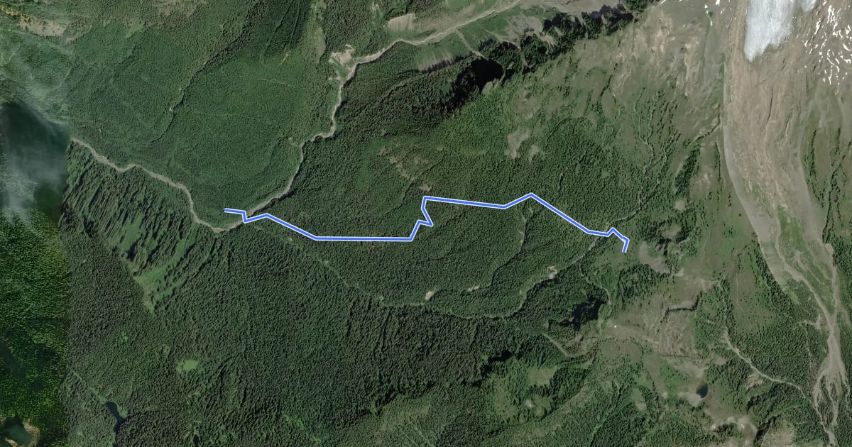 Маршрут Ridley Creek Trail на спутниковом снимке