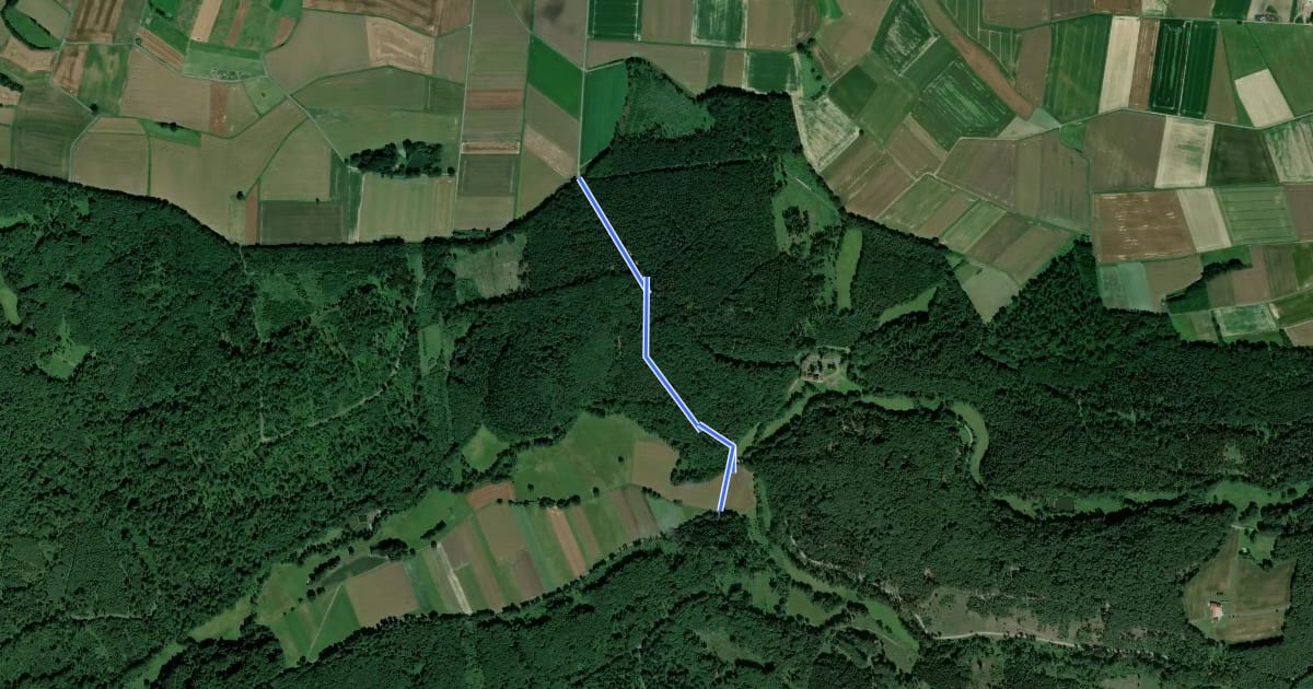 Маршрут Riebelsdorf-Daubenmühle-Spießturm на спутниковом снимке