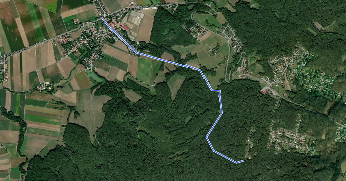 Маршрут Ried am Riederberg - Klosterruine - Weideck на спутниковом снимке