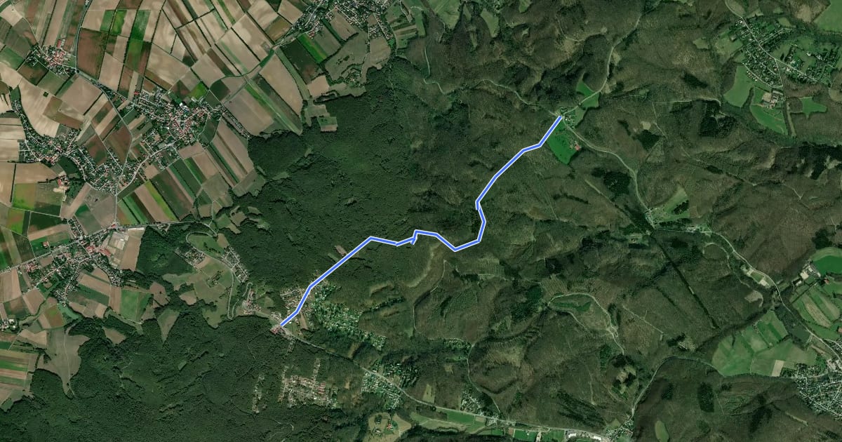 Маршрут Riederberg - Passauerhof на спутниковом снимке