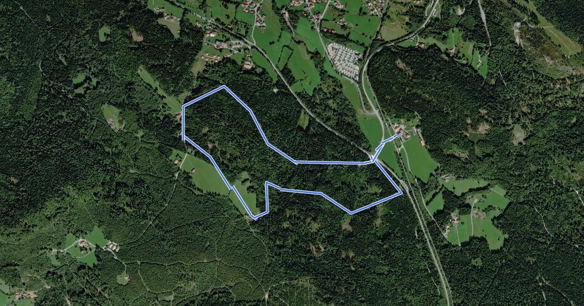 Маршрут Riederinrundweg на спутниковом снимке
