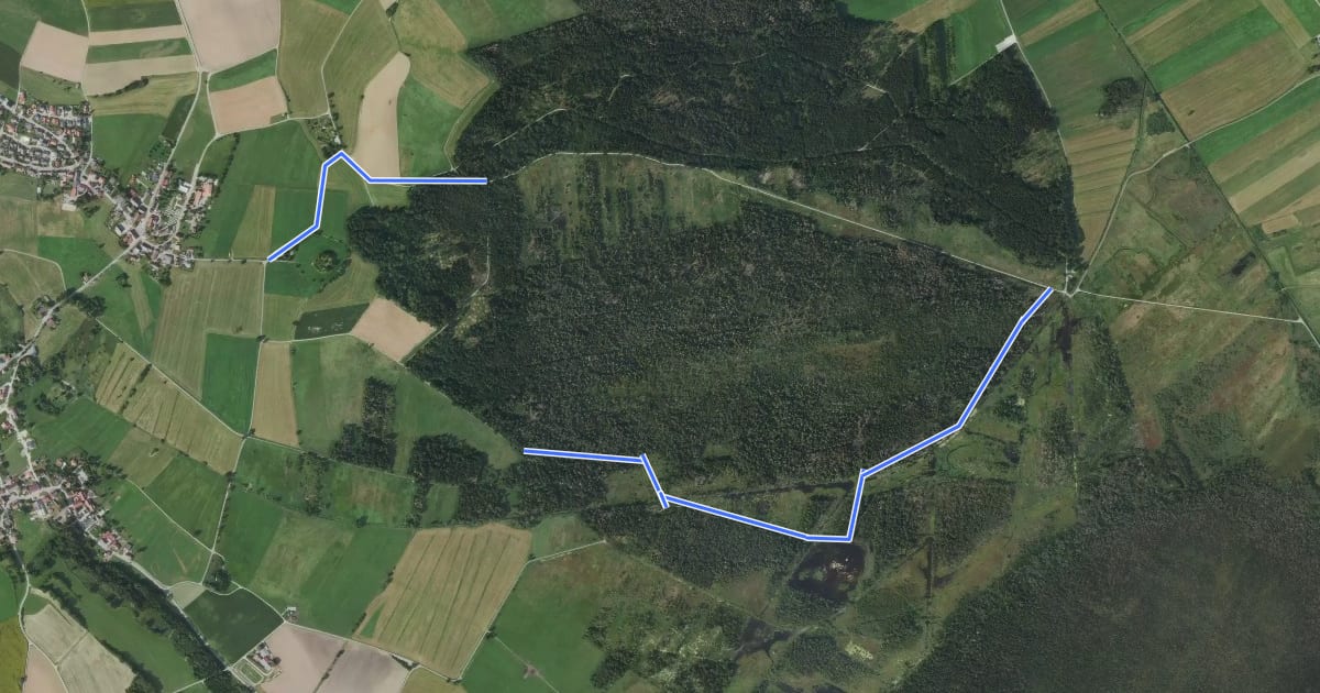 Маршрут Riedwanderweg на спутниковом снимке