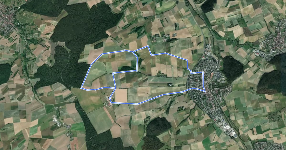 Маршрут Riedwiesenweg на спутниковом снимке