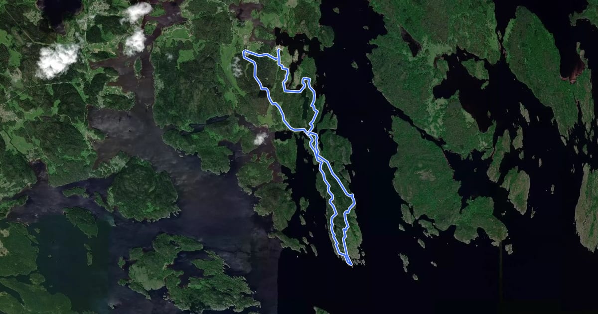 Маршрут Riekkalansaari Trail 25km на спутниковом снимке