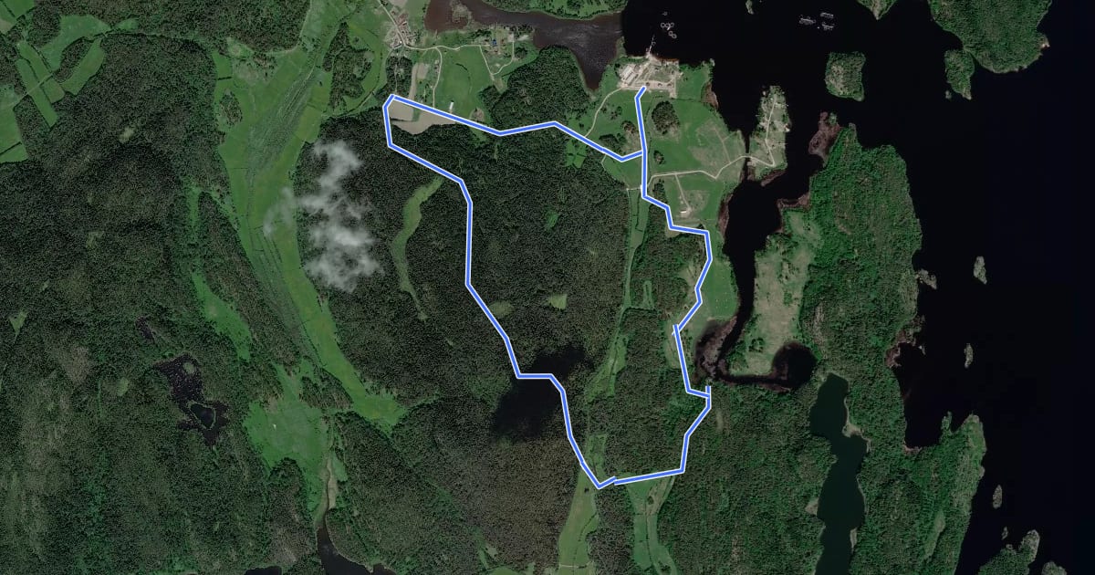 Маршрут Riekkalansaari Trail 7km на спутниковом снимке