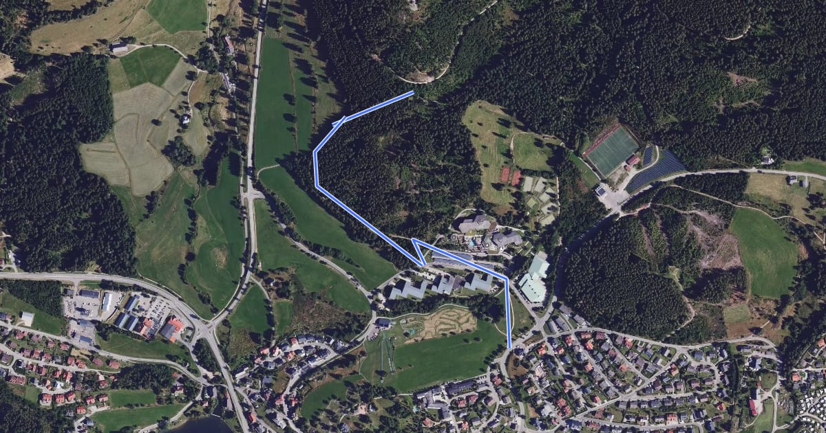 Маршрут Riesenbühlweg - Schluchsee Sonnhalde на спутниковом снимке