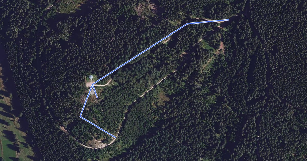 Маршрут Riesenbühlweg - Vogelhaus на спутниковом снимке