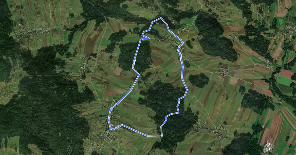 Маршрут Riesenfichtenweg на спутниковом снимке