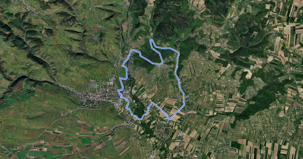 Маршрут Riesling-Tour на спутниковом снимке