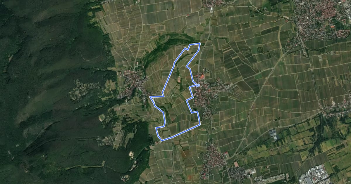 Маршрут Rieslingweg на спутниковом снимке