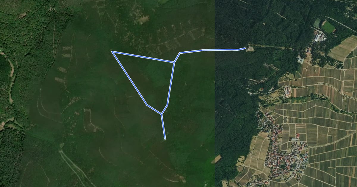 Маршрут Rietburgrundweg Rhodt на спутниковом снимке