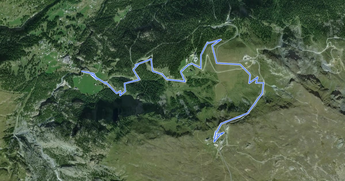 Маршрут Riffelberg Trail на спутниковом снимке