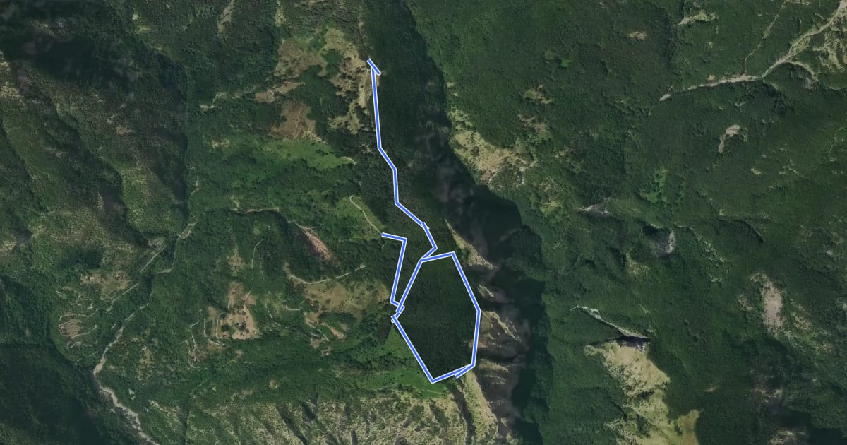 Маршрут Rifugio Casentini - La Mandria - Cornice Orrido di Botri - Rifugio Casentini на спутниковом снимке