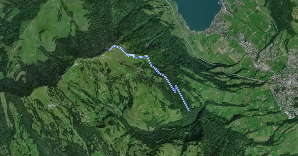 Маршрут Rigi Kulm - Dächli на спутниковом снимке