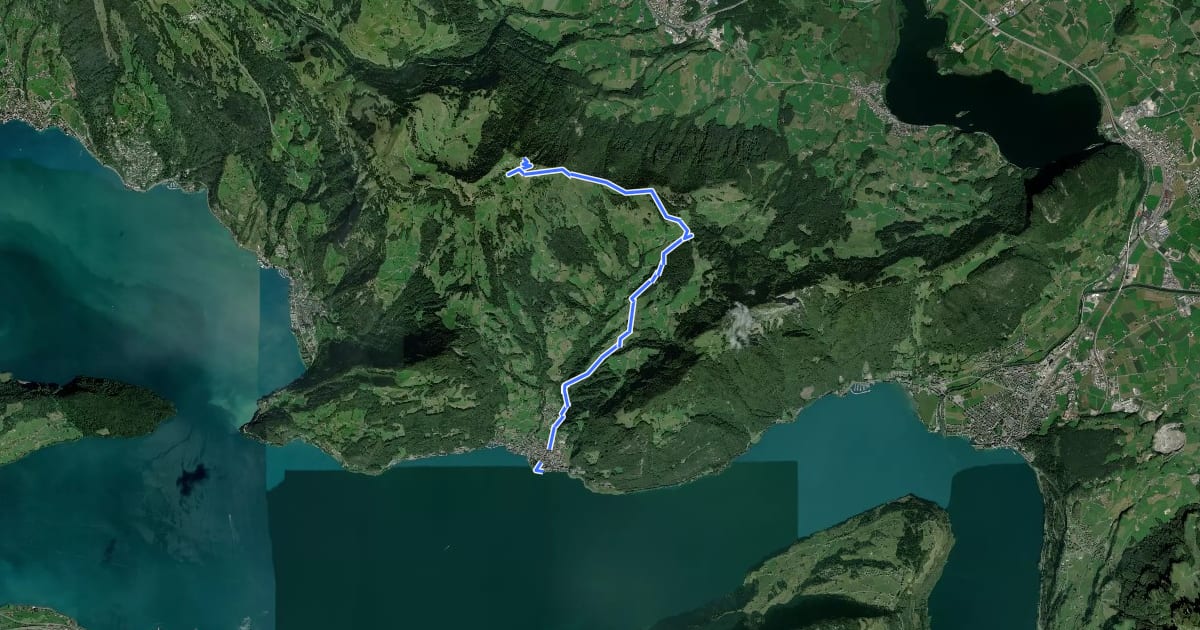 Маршрут Rigi Scheidegg Weg на спутниковом снимке