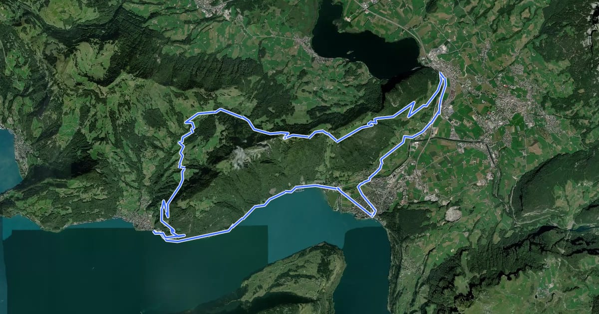 Маршрут Rigi Tour на спутниковом снимке