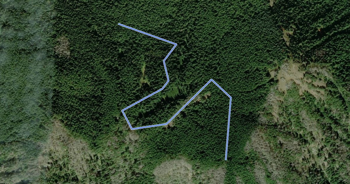 Маршрут Rim Primitive Trail #202 на спутниковом снимке