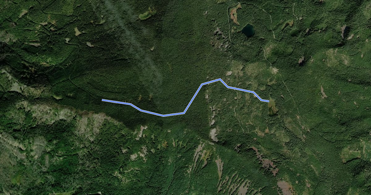 Маршрут Rimrock Trail #704 на спутниковом снимке