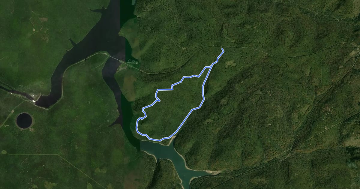 Маршрут Rimrock Trail Loop на спутниковом снимке