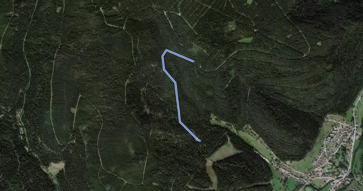 Маршрут Rindenhütte - Skiabfahrt на спутниковом снимке